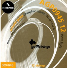 Струны GALLI STRINGS AGP0945-12